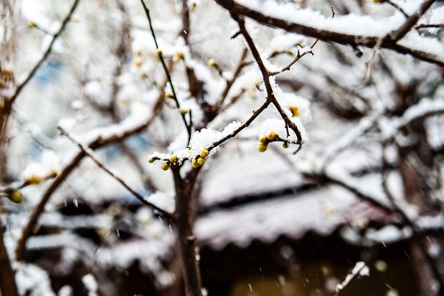 碰撞