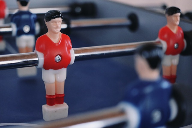 展示提供了 展示提供了