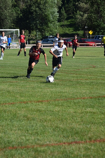 世界舞台上 世界舞台上