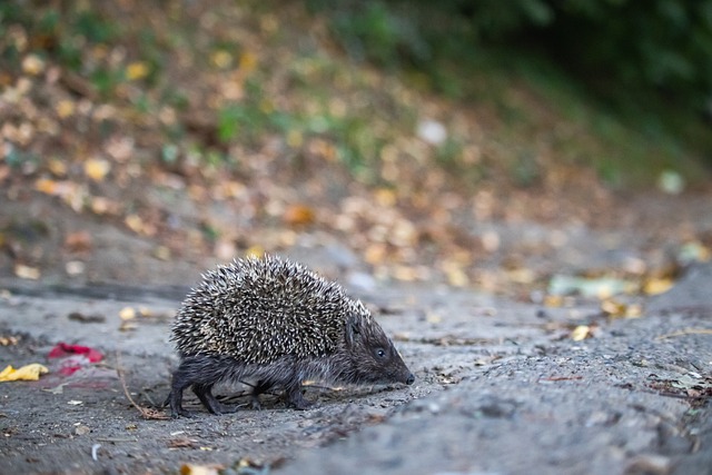 小记者们的 小记者们的