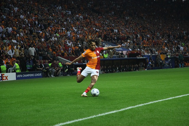 特蒙德控制 特蒙德控制