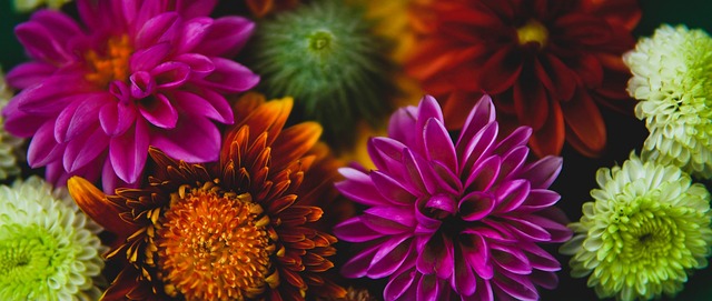 的重要性 的重要性