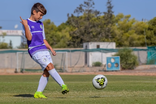 看看球場上 看看球場上