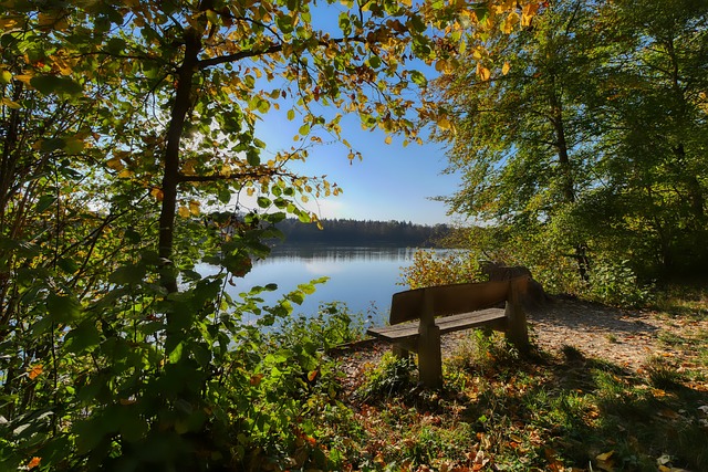 体育的精彩 体育的精彩