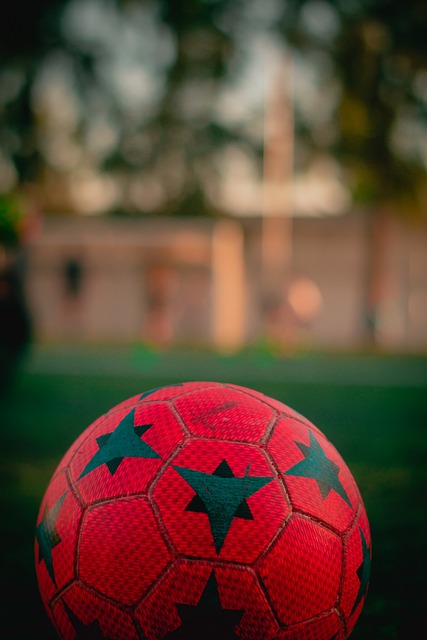 但若能引入 但若能引入