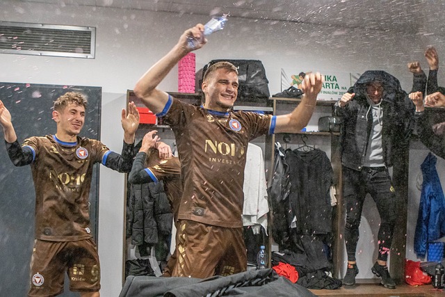 本澤馬世界杯一共進了多少個球.